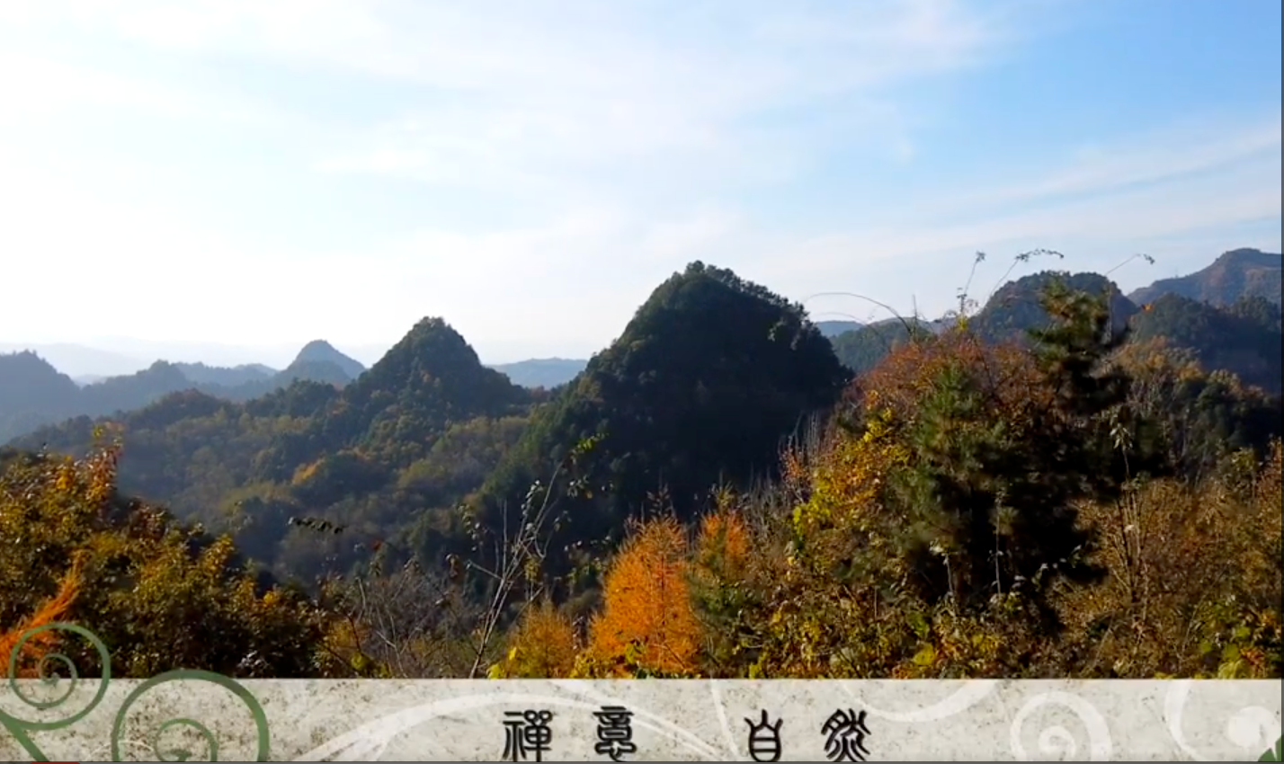 禅意自然